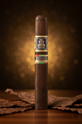 Trinidad Espiritu Series No. 3 - Editorial Style